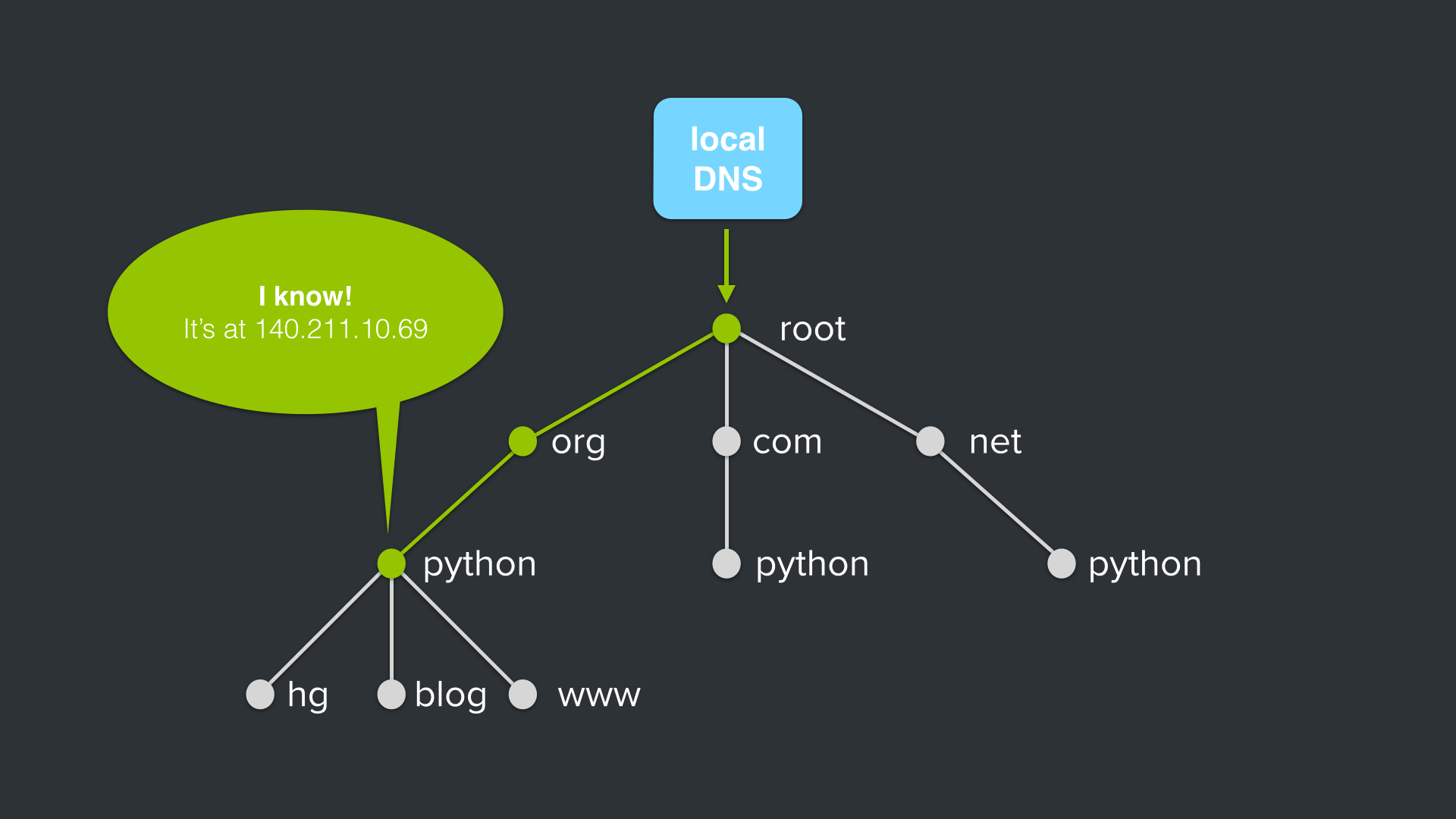 python.org DNS Query: python.org dns